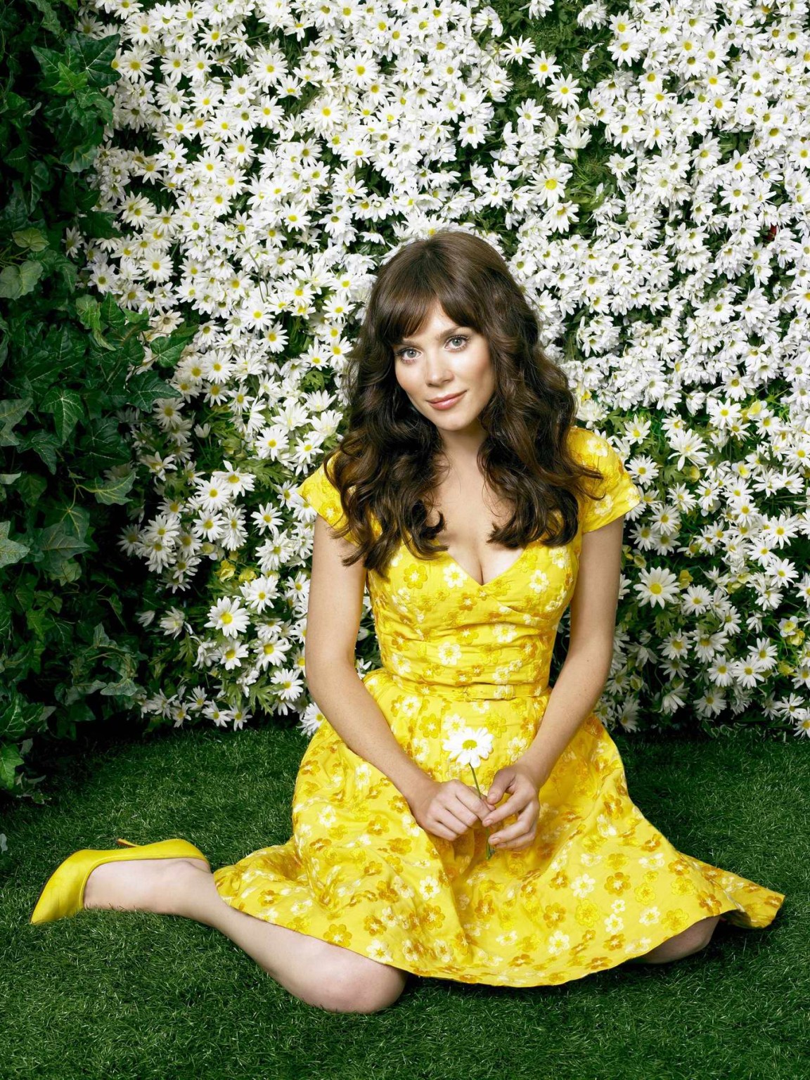 Anna Friel showing cleavage in 'Pushing Daisies' promoshoot #75245773