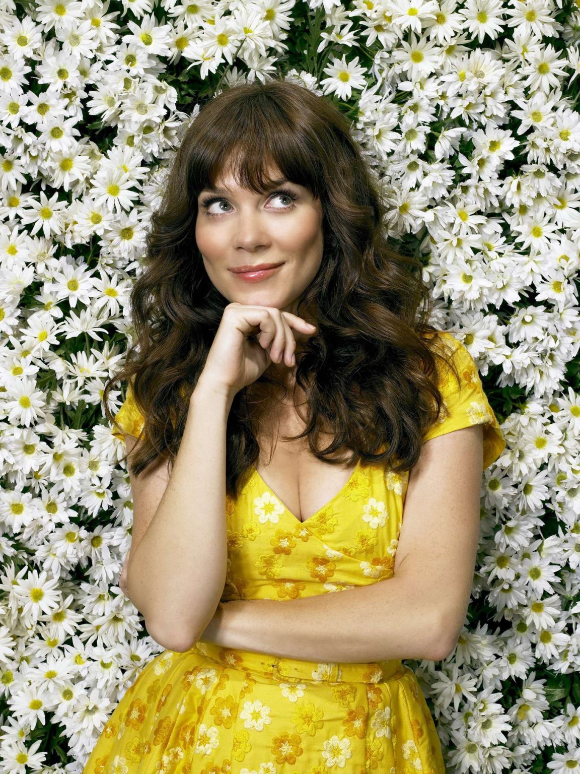 Anna Friel showing cleavage in 'Pushing Daisies' promoshoot #75245783
