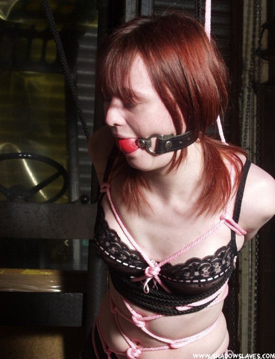 Bella ragazza bruna imbavagliata e strettamente legata in corda rosa
 #72213065