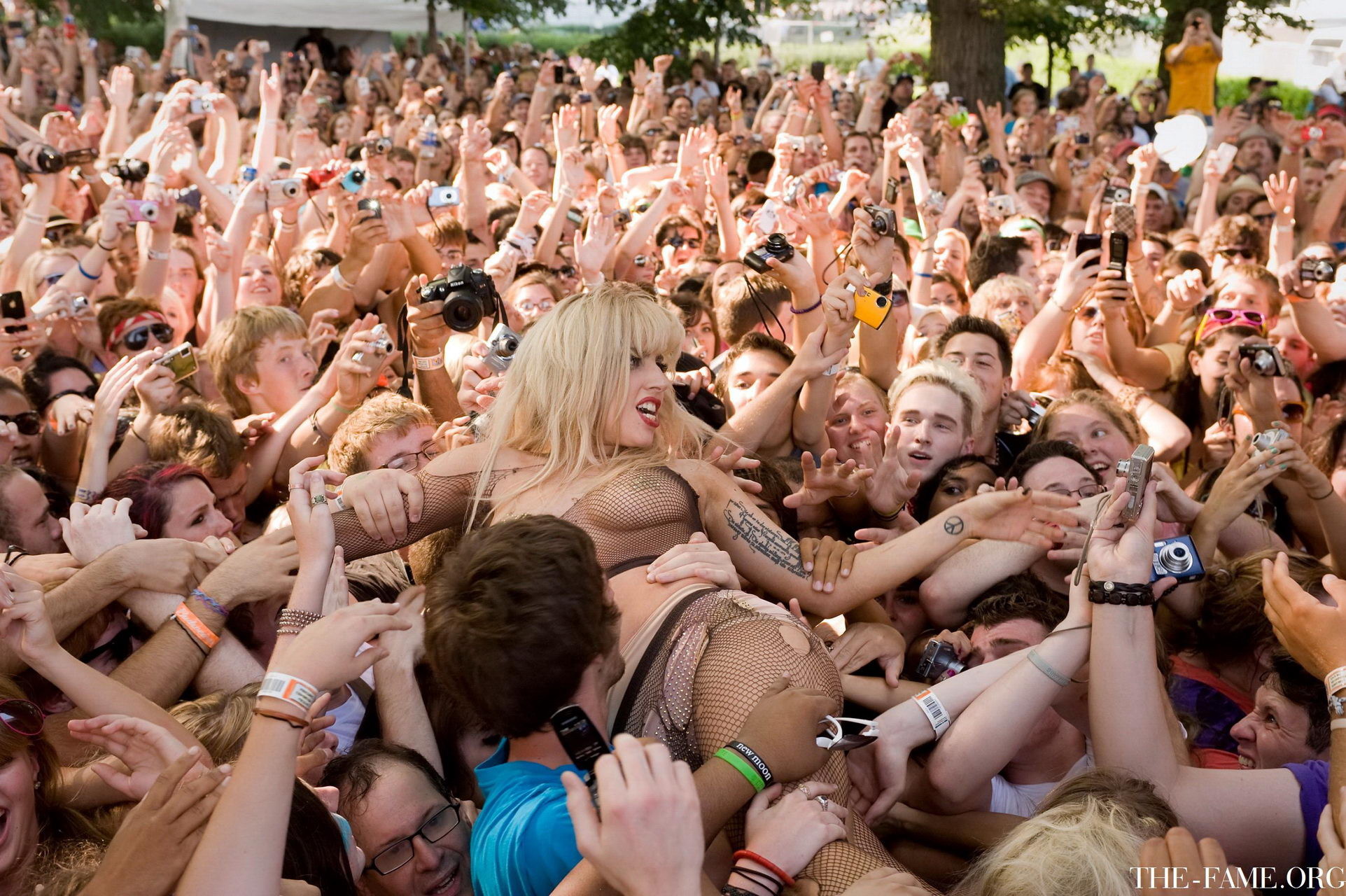 Lady Gaga crowd surfing at Lollapalooza wearing just fishnet  nip stickers #75337826