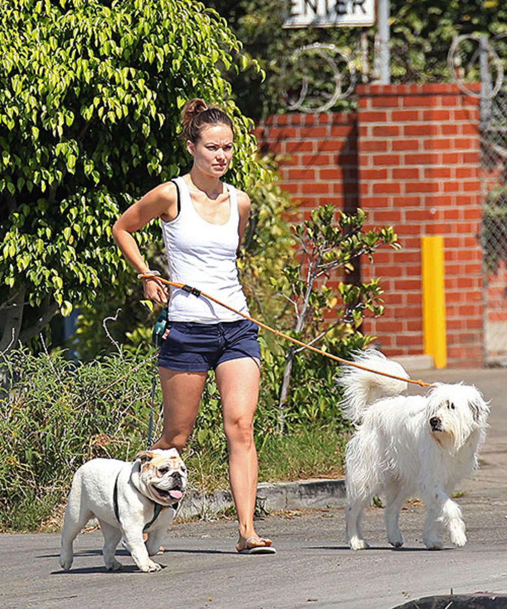 Olivia Wilde posing topless and sexy for some photoshoot and almost upskirt #75382473