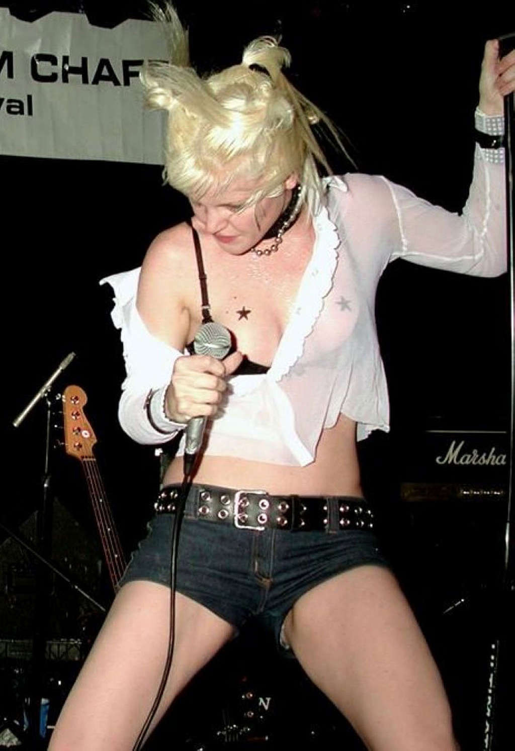 Pauley Perrette tits slip while singing and undressing her top #75340954