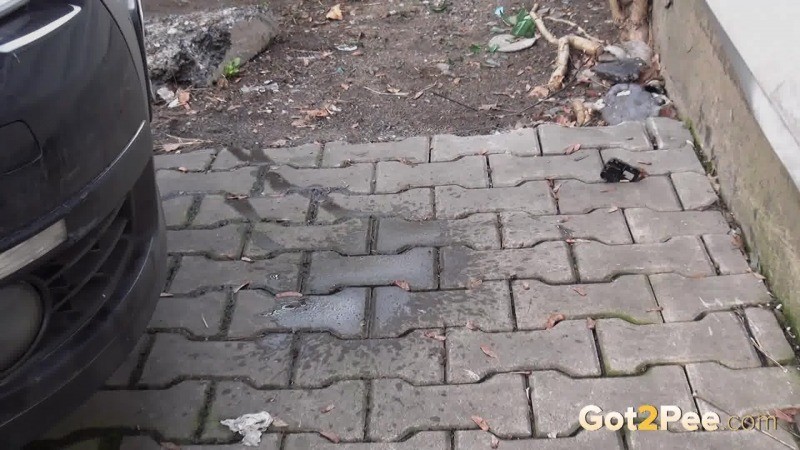 Hübsche Rothaarige wird zweimal beim Pissen in der Öffentlichkeit erwischt
 #67499480