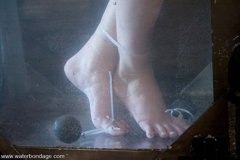 ブルネットの少女、ウェノナ・スプレイドゥルが床に縛られて水をかけられる
 #71891832