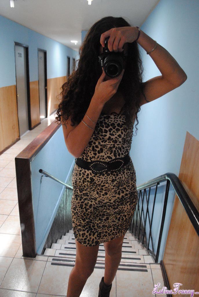 Seductor auto disparos de impresionante nikki
 #79171976