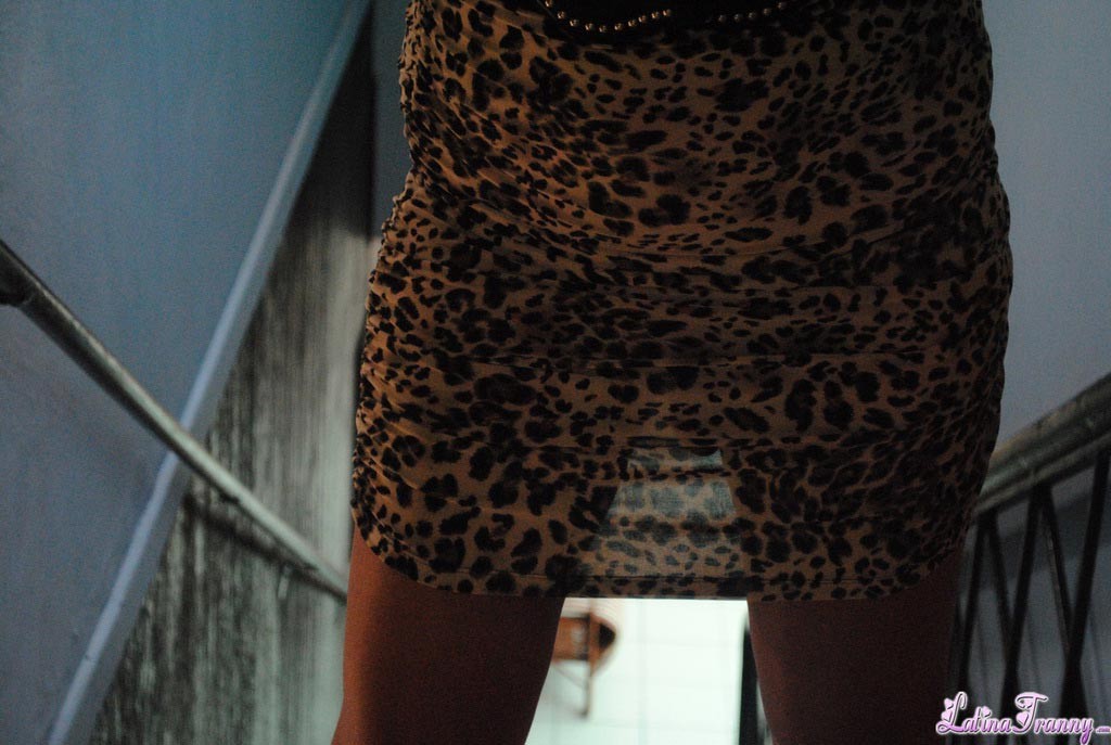 Seductor auto disparos de impresionante nikki
 #79171980