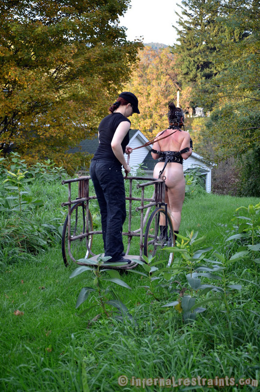 New sluts are like new horses. Sasha has just arrived.  #68918766