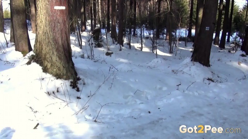 Dark haired babe pisses in the snow outside #67476919
