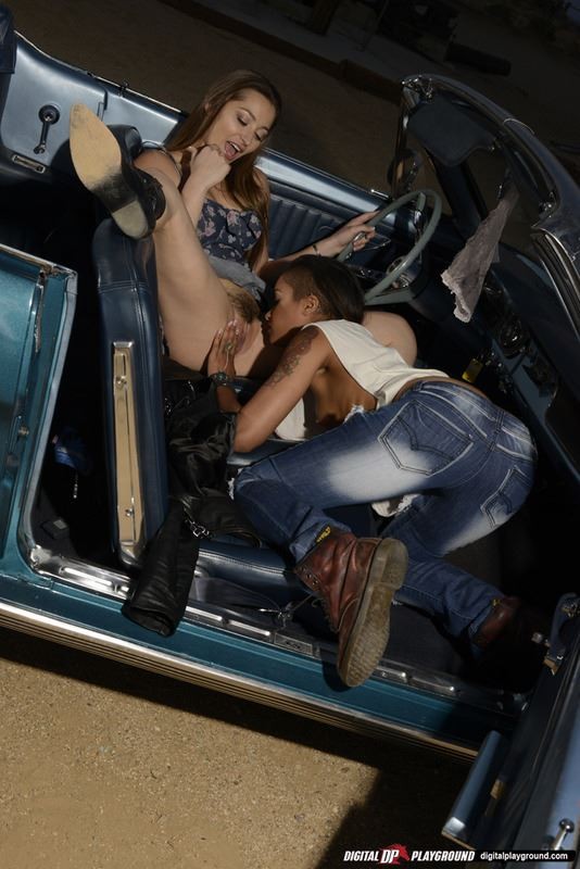 Dani daniels und skin diamond machen Liebe in einem Auto
 #78060059