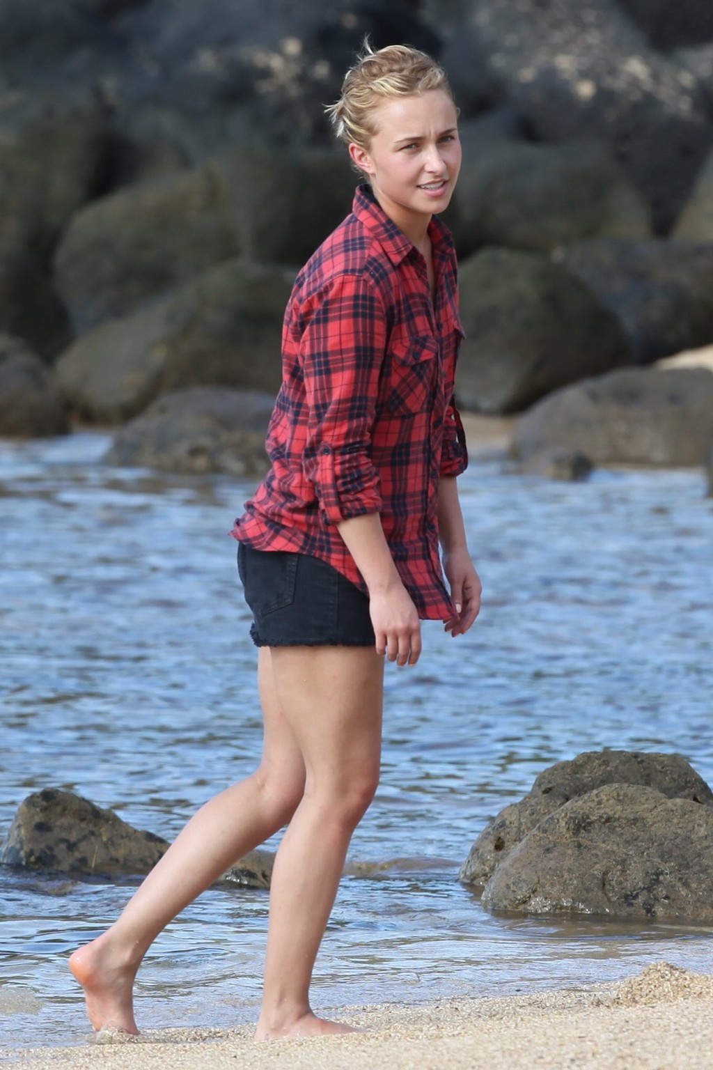 Hayden panettiere montrant son cul en bikini bleu ciel à la plage à hawaii
 #75321005