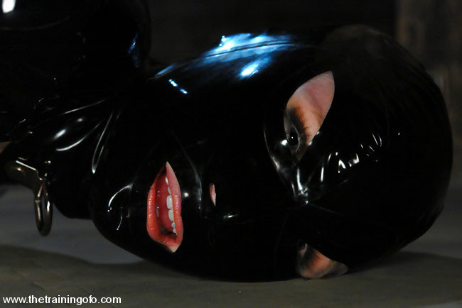 Latex subslut spread open for beef injection #72212248
