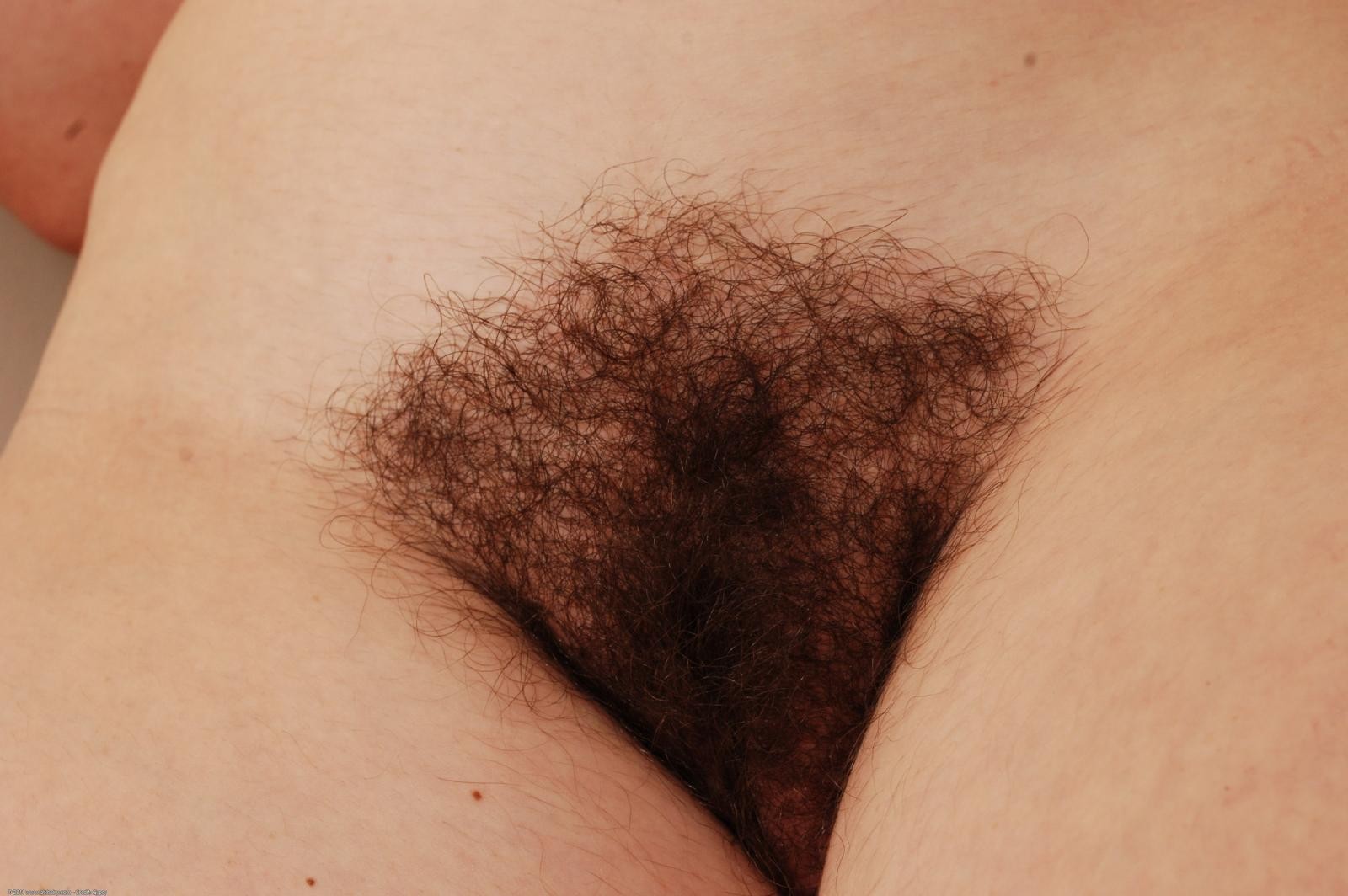Hairy natural amateur Barb spreading pussy #68488462