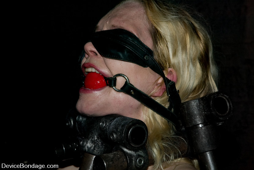 Trina Michaels and Rain Degre bound in torture with some toys #71911135
