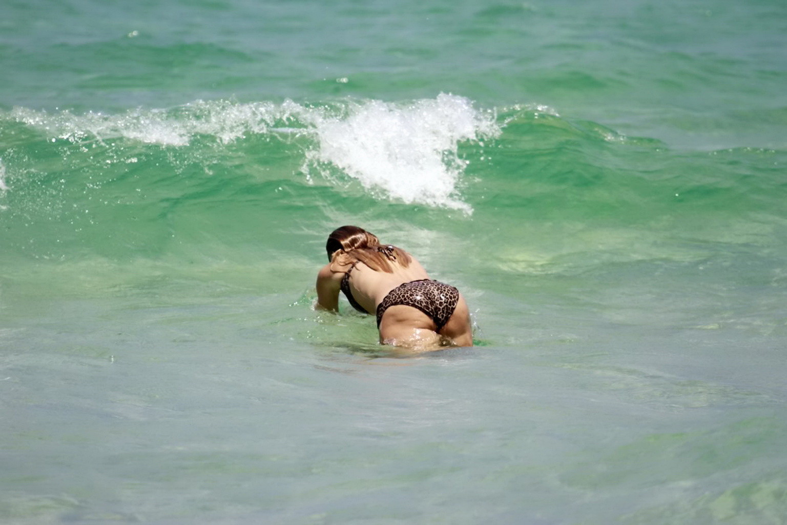 Carolina Dieckmann wearing a leopard print tube bikini on a beach in Barra da Ti #75240343