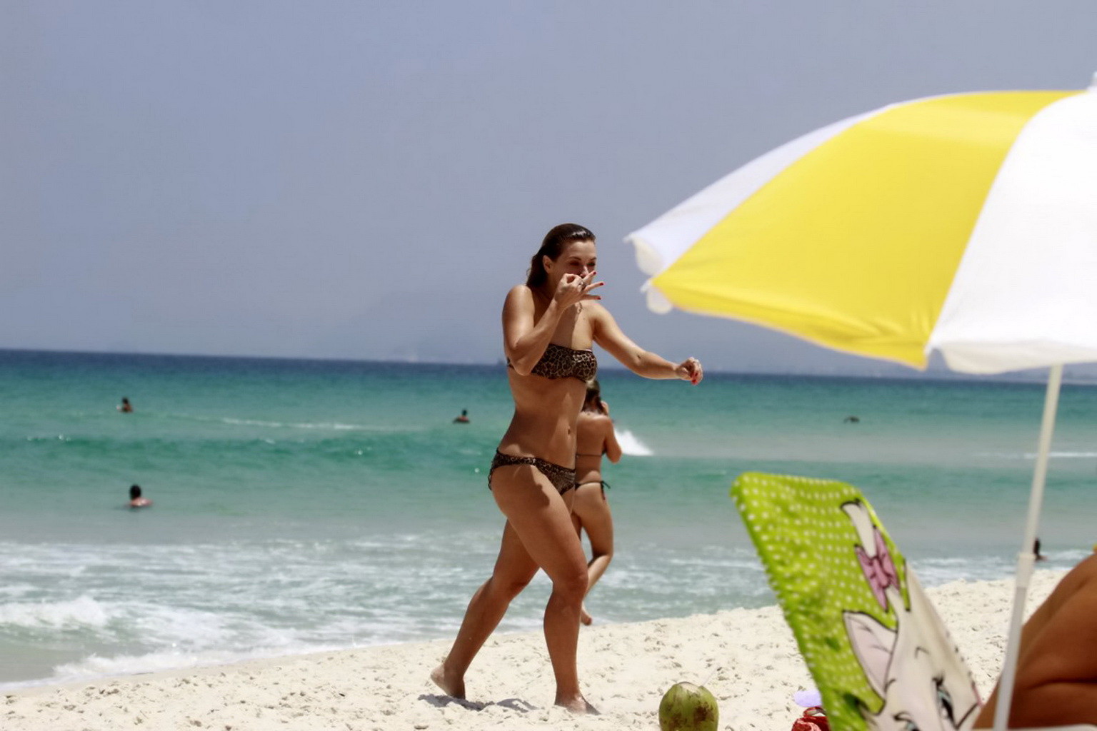 Carolina Dieckmann wearing a leopard print tube bikini on a beach in Barra da Ti #75240406