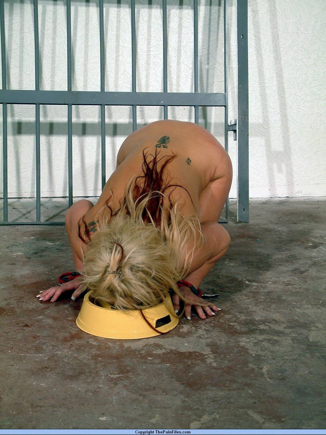 Electro pain and humiliation of blonde bdsm slavegirl Crystel Lei in the prison  #72181378