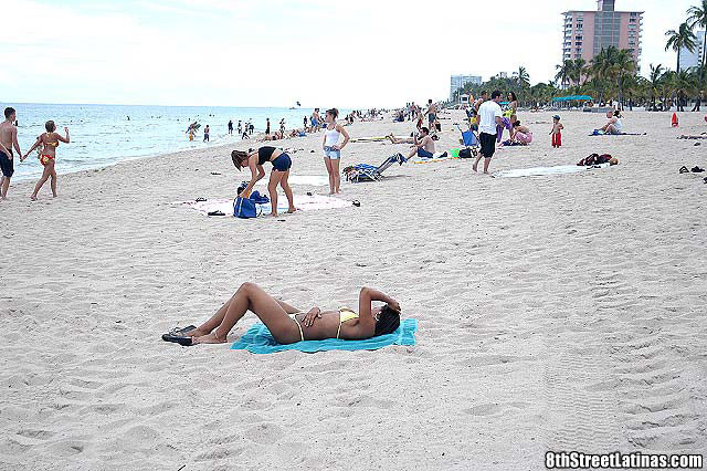 Bikini usando ébano latina se pone de rodillas para chupar
 #74500020