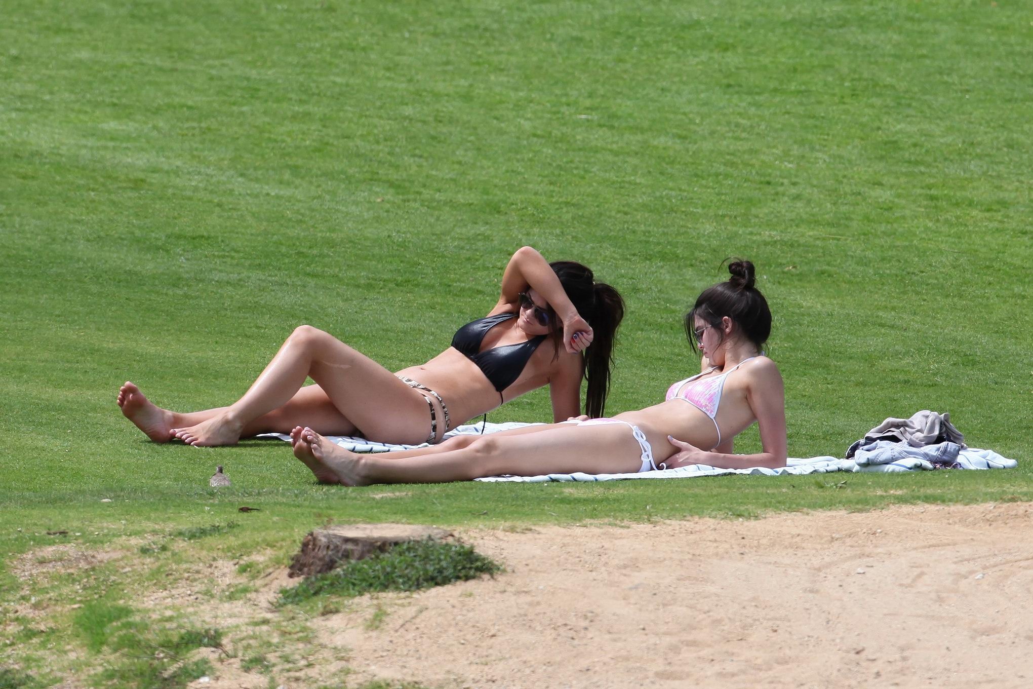 Kendall jenner en bikini bronceándose en un césped en hawaii
 #75261465