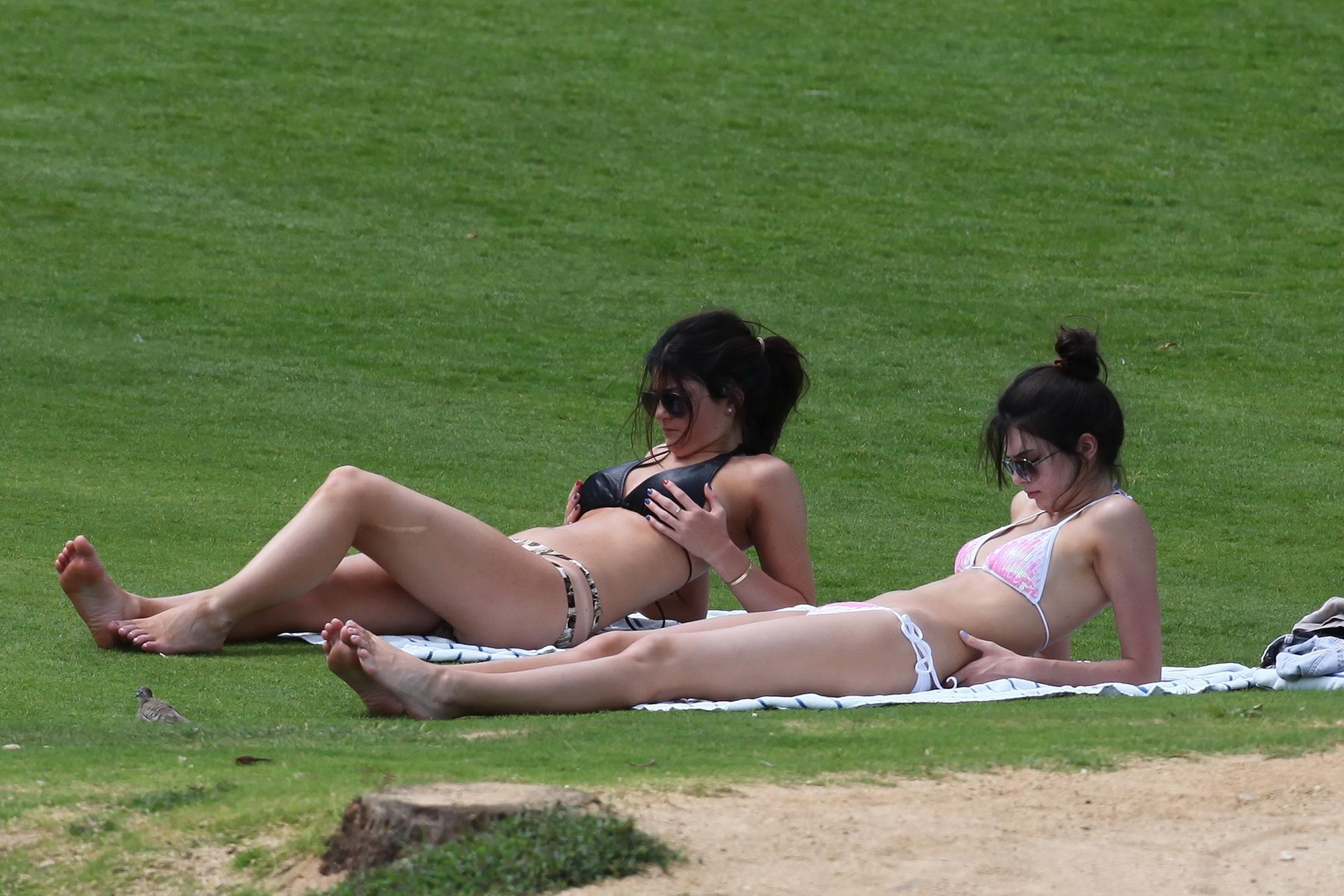 Kendall jenner en bikini bronceándose en un césped en hawaii
 #75261484