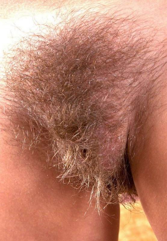 amateur blonde showing her hairy pussy #67590829