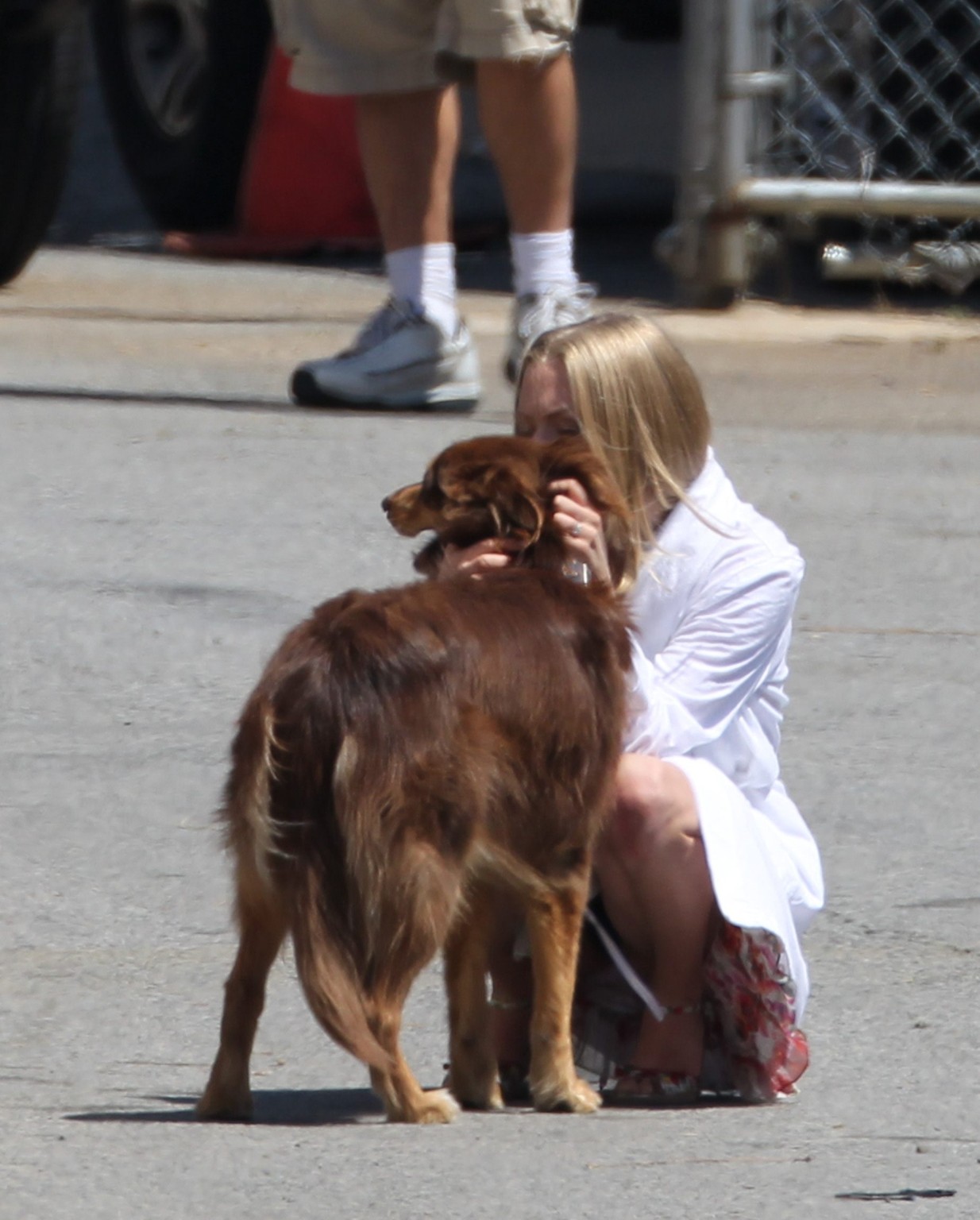 Amanda seyfried baisée par son chien sur le plateau de 'The Wedding'. #75294134