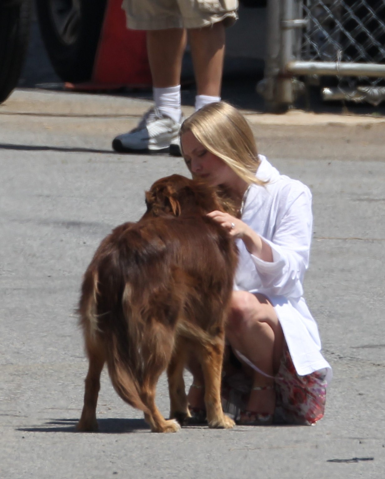 Amanda seyfried baisée par son chien sur le plateau de 'The Wedding'. #75294139