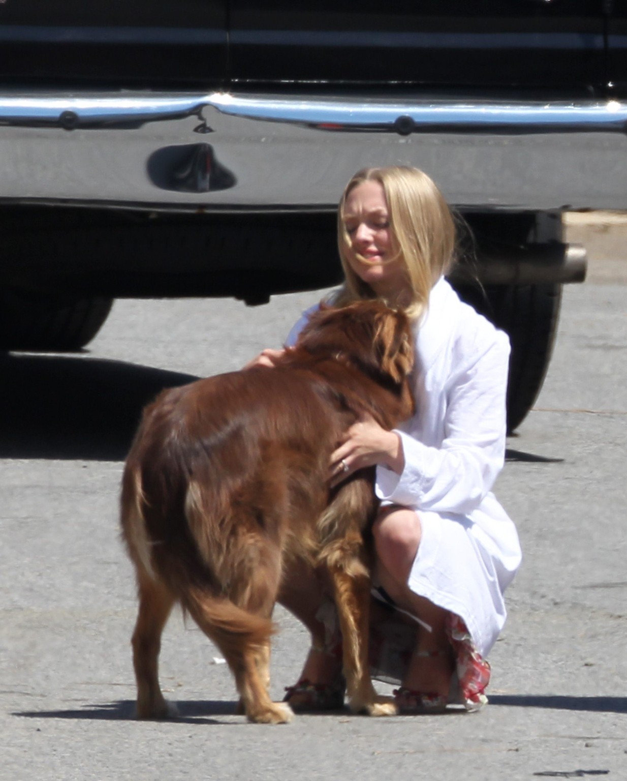 Amanda Seyfried humped by her dog on the set of 'The Wedding #75294143