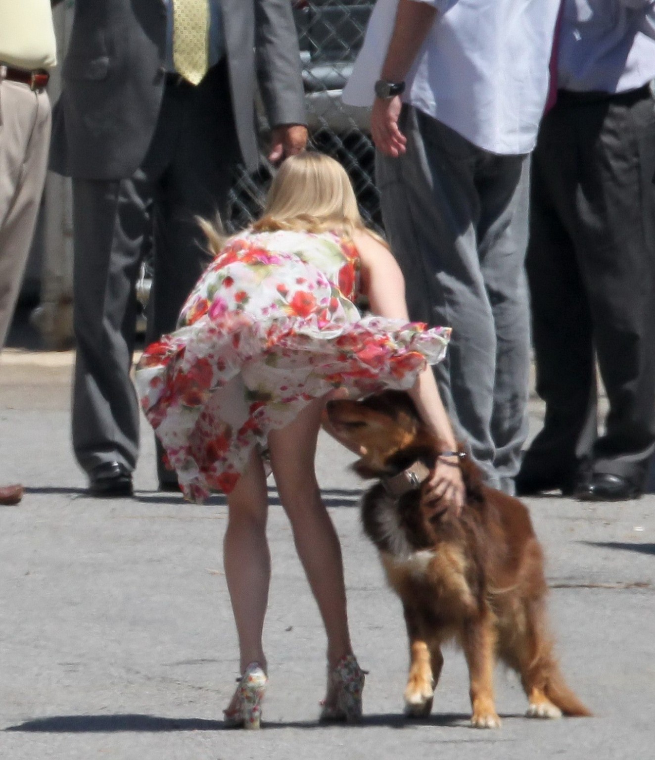 Amanda Seyfried humped by her dog on the set of 'The Wedding #75294164