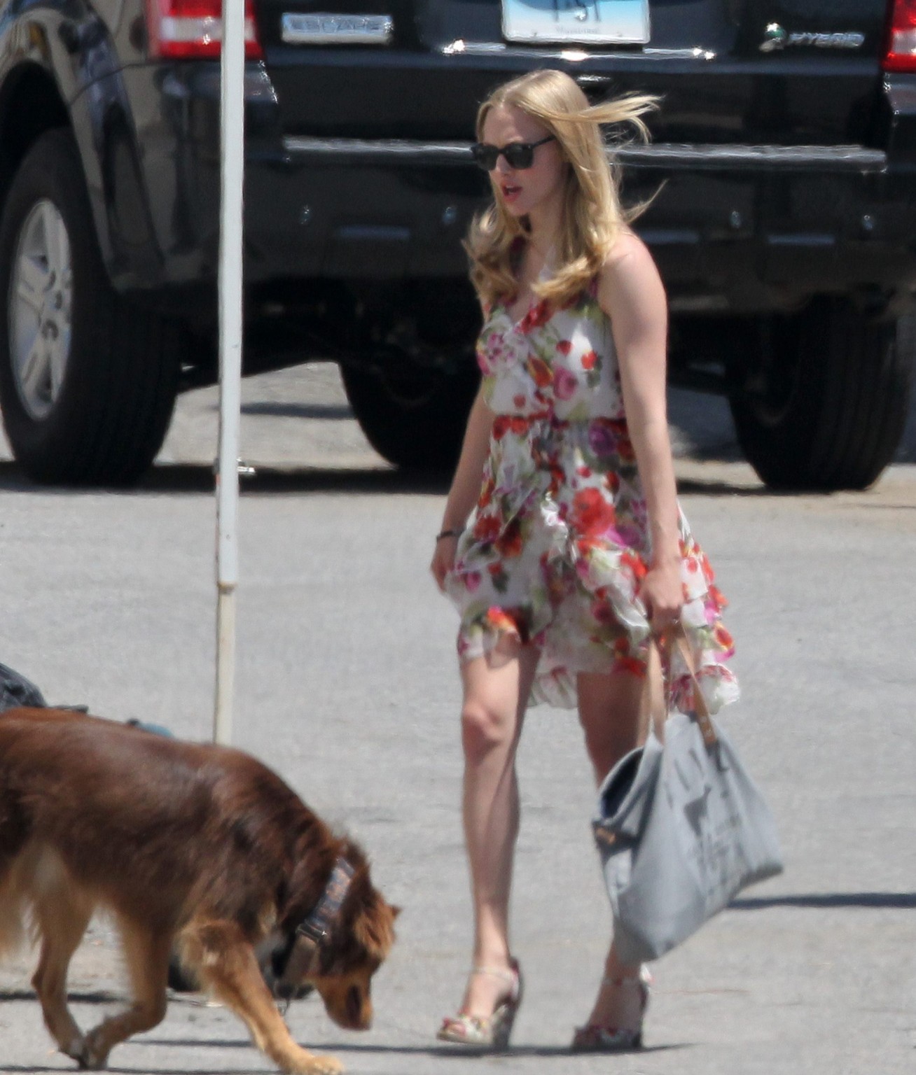 Amanda seyfried baisée par son chien sur le plateau de 'The Wedding'. #75294197