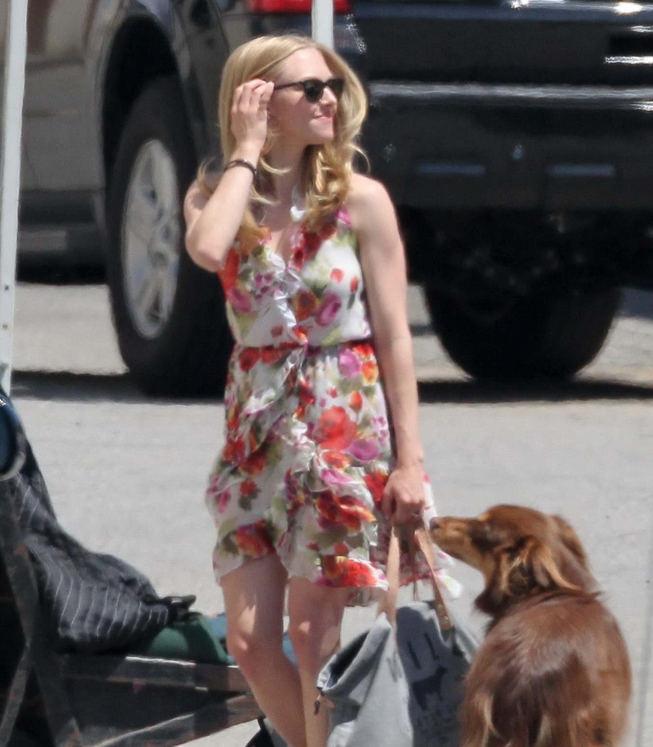 Amanda Seyfried humped by her dog on the set of 'The Wedding #75294211