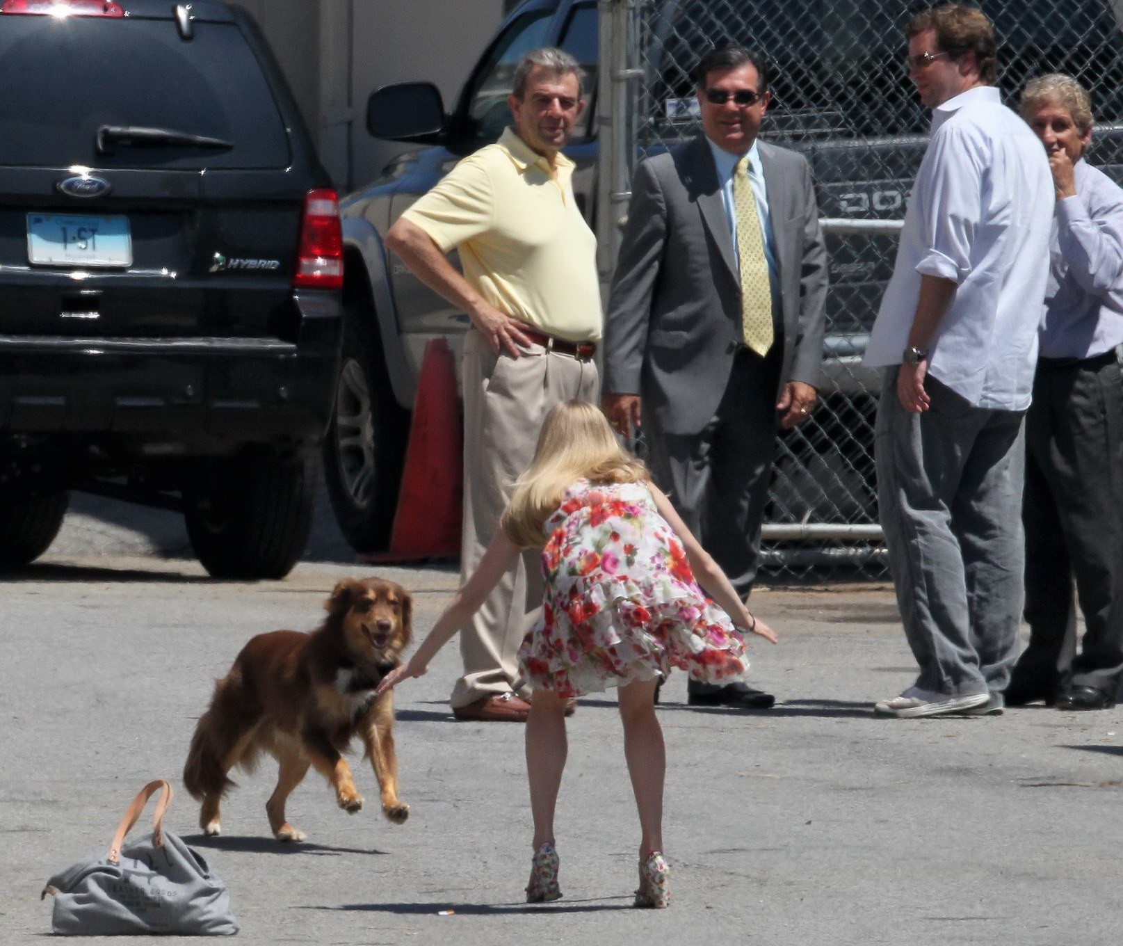 Amanda seyfried baisée par son chien sur le plateau de 'The Wedding'. #75294221