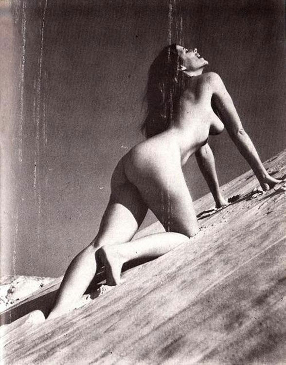 Vintage nackte Küken zeigen ihre haarige Muschi
 #77294271