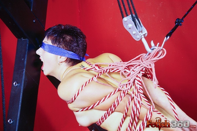 brunette slave gets trained with ropes  #72075533