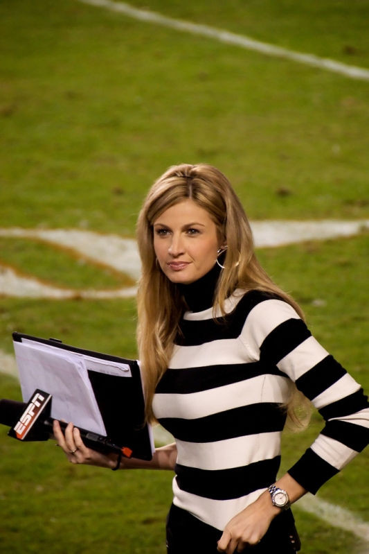 Erin Andrews tight bodied sportscaster reports on the game #75386422