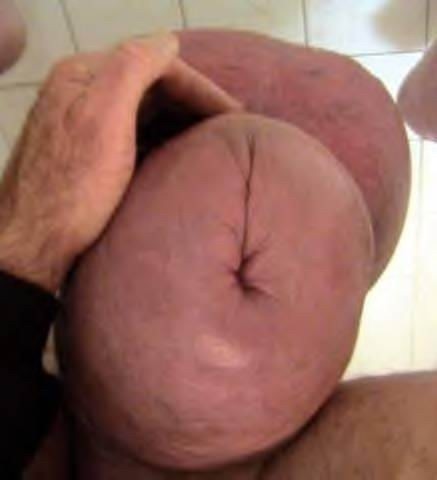Weird cocks #73235394