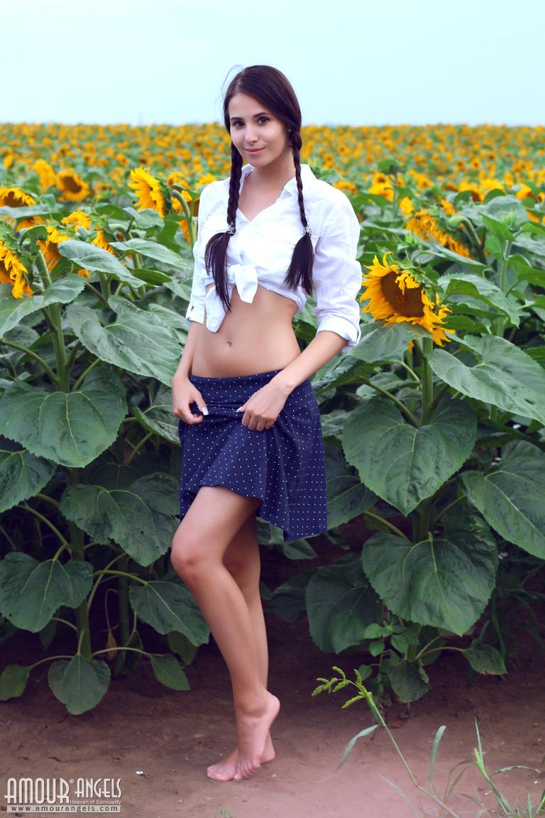 Wunderschöne Teenagerin Vanessa Sky zieht sich bis auf ihre Zöpfe im Sonnenblumengarten aus
 #60130751