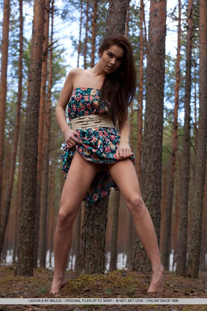 Pictures of teen beauty Lachia A getting naked in the woods #58807040