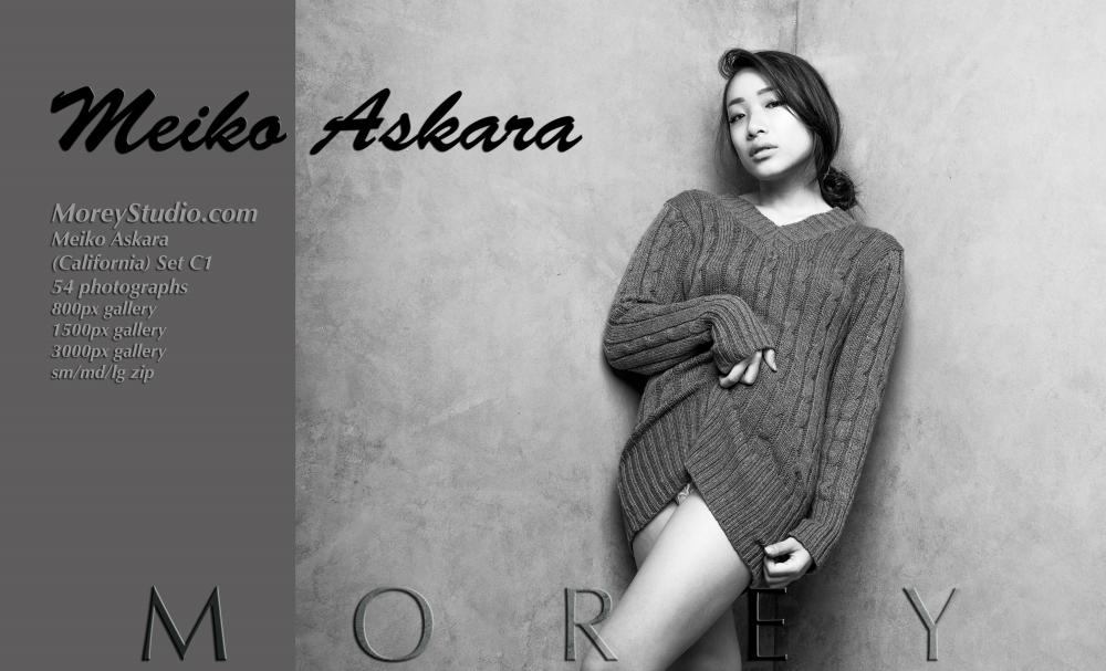 Brunette model Meiko poses in black and white #60625939