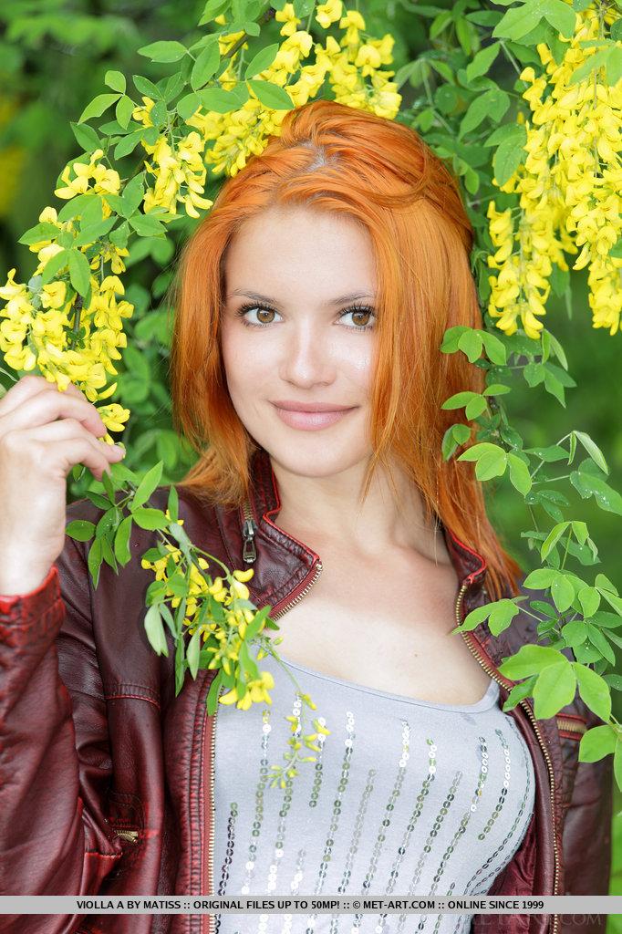 Bilder von wunderschönen Rotschopf violla a geben Sie ihre schöne Blume außerhalb
 #60156264