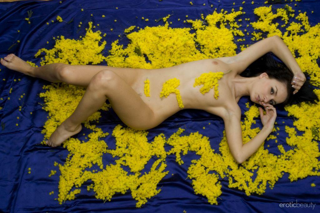 La modella bruna nicollet si spoglia nuda con boccioli di fiori gialli
 #60363275