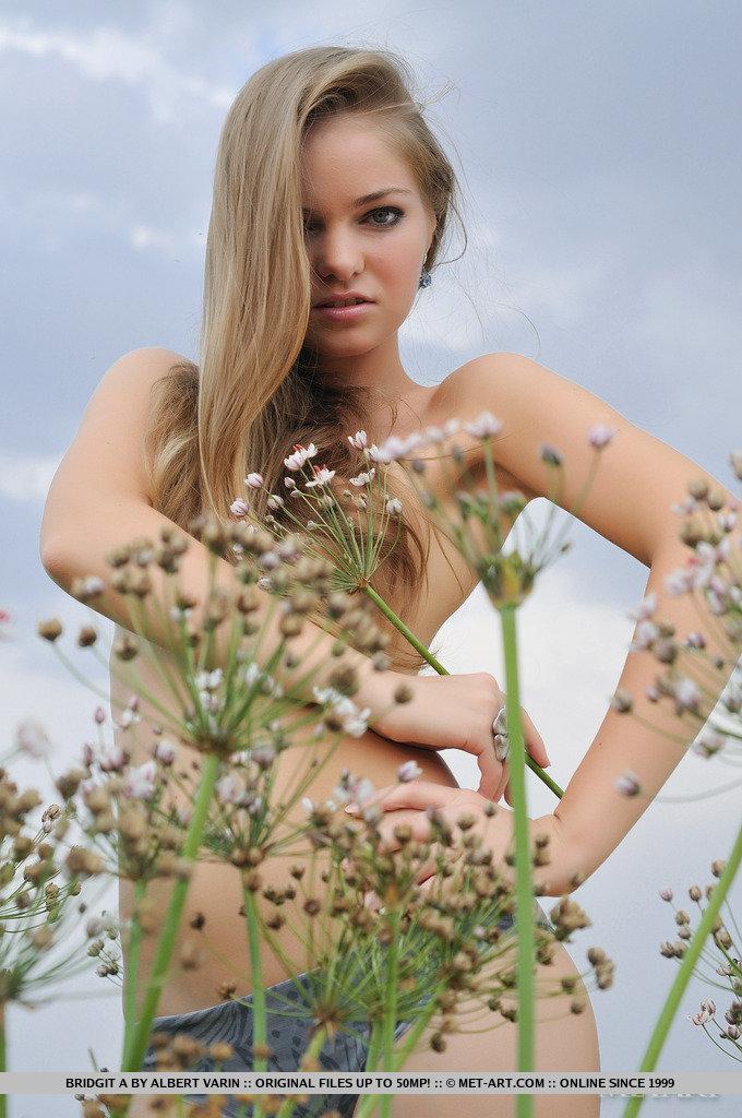 Pictures of blonde hottie Bridgit A enjoying her nudity in the field #53526143