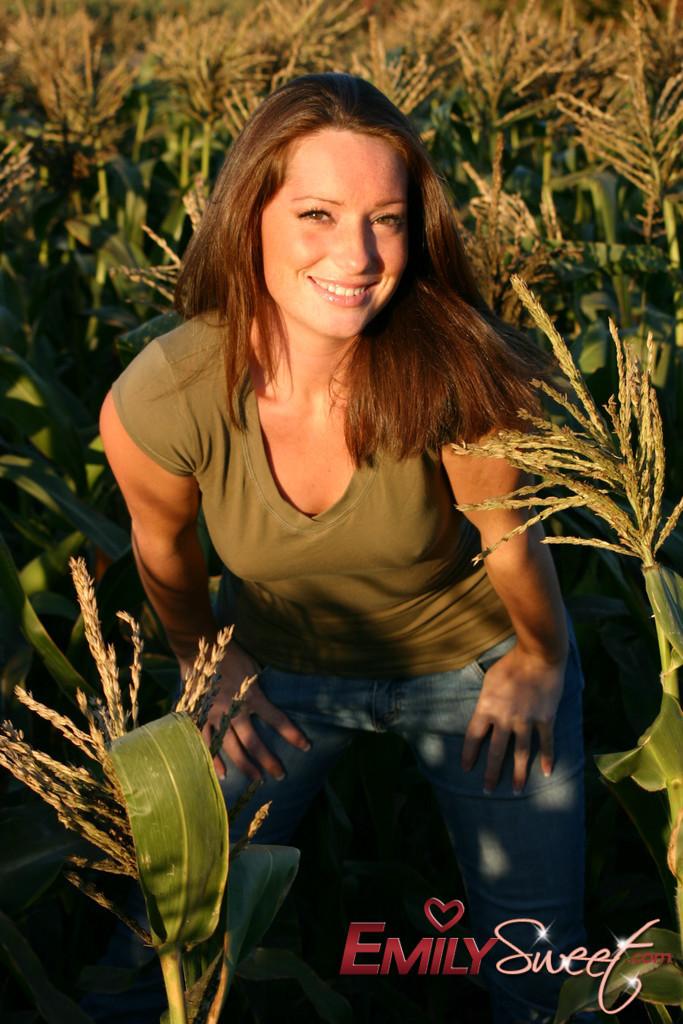 Pictures of Emily Sweet treading naked through a corn field #54241801