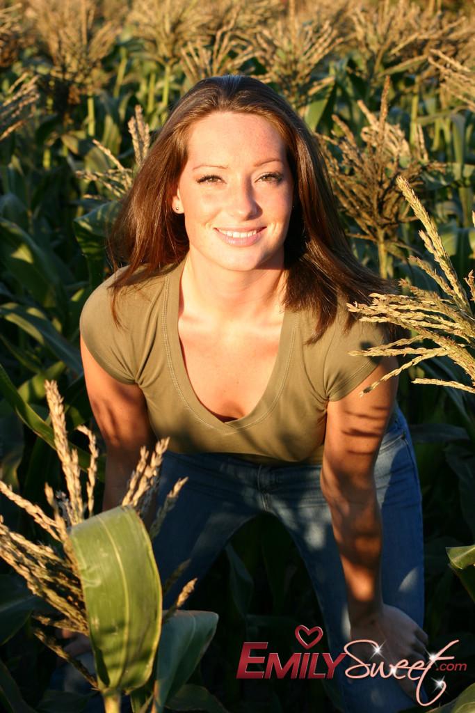 Pictures of Emily Sweet treading naked through a corn field #54241830