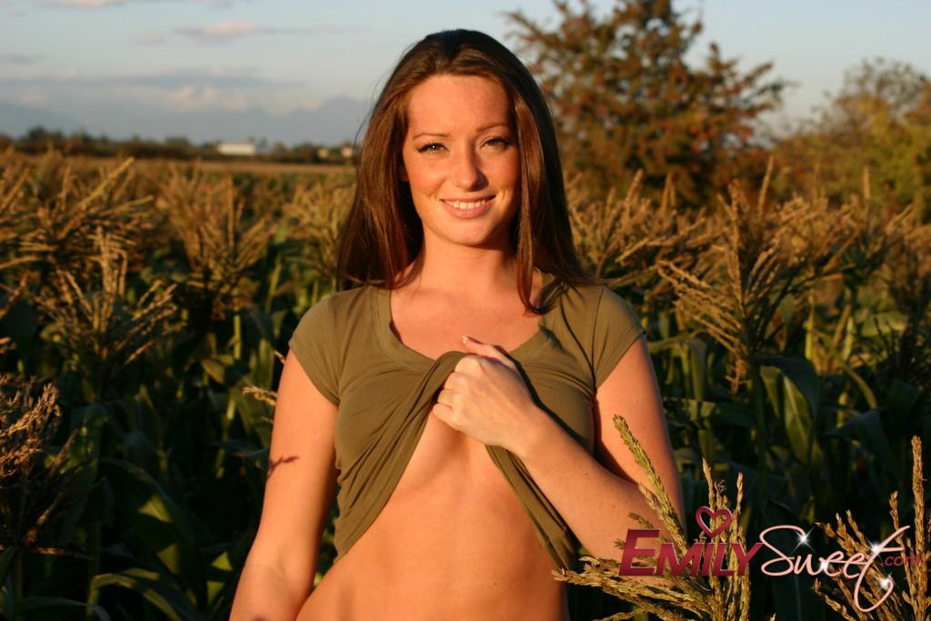 Pictures of Emily Sweet treading naked through a corn field #54241913