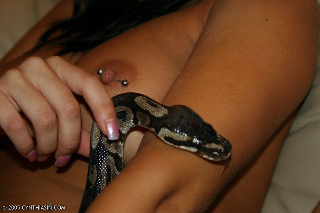 Fotos de la joven ninfómana Cynthia Sin con una serpiente
 #53912018