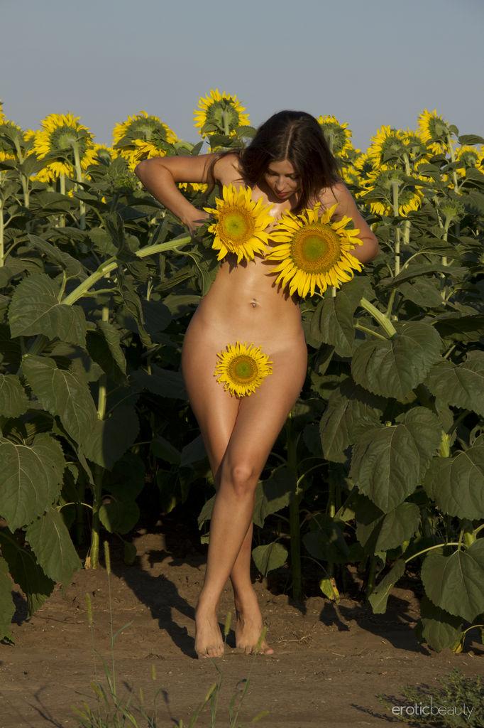 Brünette Mädchen rimma a zeigt Ihnen ihre hübsche Sonnenblume
 #60359512