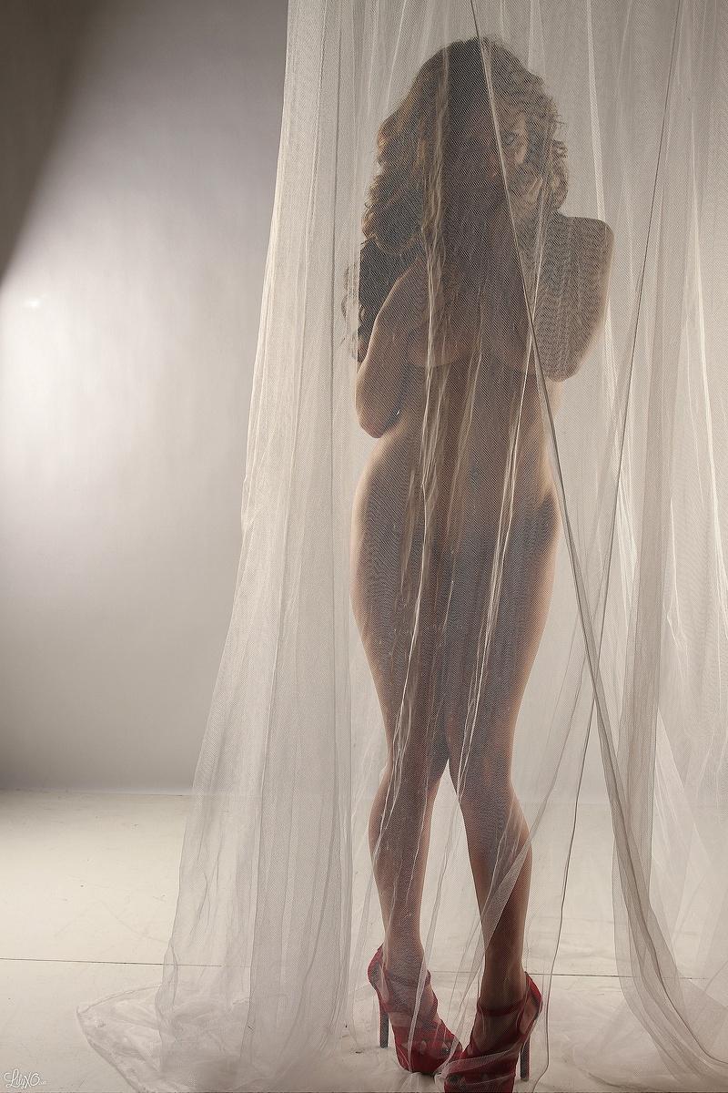 Lily posa detrás de una cortina transparente y se burla
 #58966078