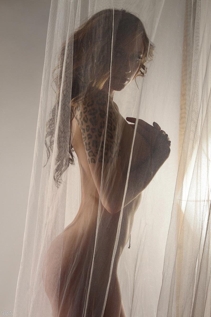 Lily posa detrás de una cortina transparente y se burla
 #58966236