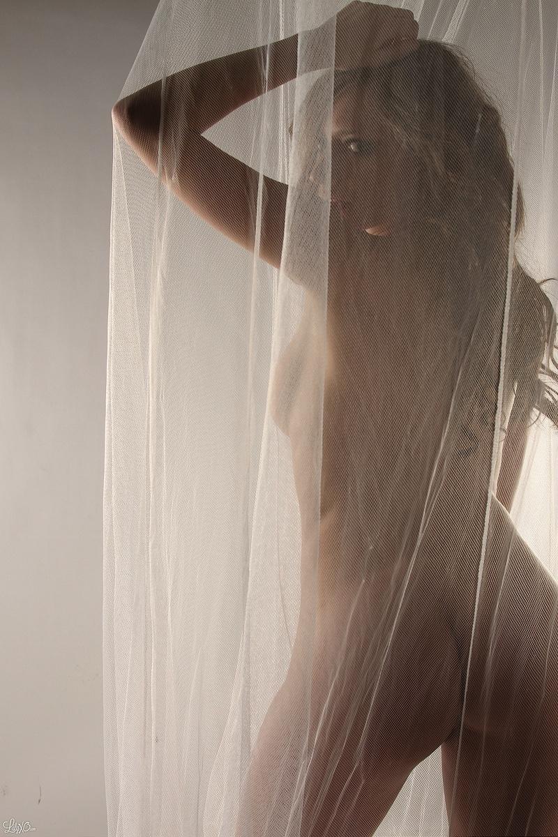 Lily posiert hinter einem durchsichtigen Vorhang und neckt
 #58966288