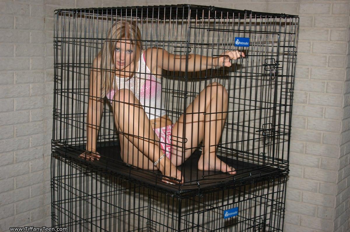 Tiffany gefangen in einem Käfig
 #60098556
